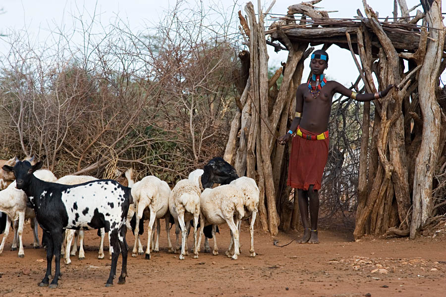 185   Hamar girl takes care of the goats